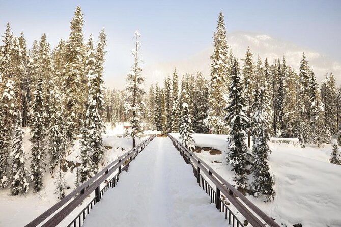 Private Banff and Yoho National Park Tour With Moraine Lake - Overview of the Tour