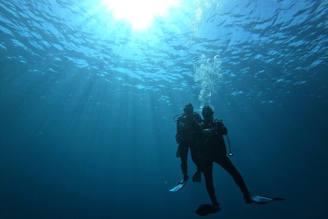 Private Baptism In The Bay Of Calvi Location And Meeting Point