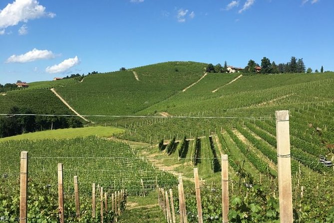 Private Barolo / Barbaresco - Piedmont Wine Tours and Tastings - Tour Overview