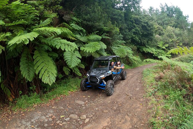 Private Buggy Off Road Tour Inclusions