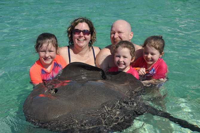 Private Caribbean Snorkeling Cruise At Punta Cana & Sharks, Stingray Encounter Overview Of The Cruise