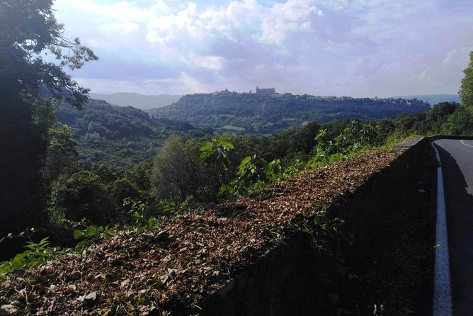 Private Civita Di Bagnoregio And Orvieto Wine Tasting Ebike Tour Tour Overview