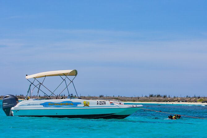 Private Cruise Along Aruba Coastline With Snorkeling Overview Of The Private Cruise