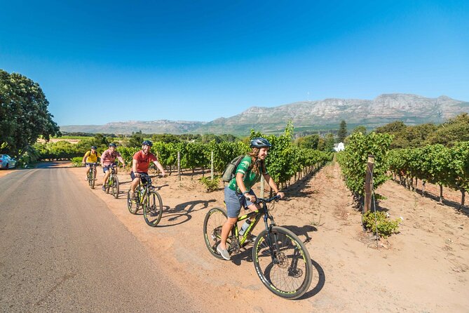 Private Cycling Tour Of Constantia Winelands Tour Overview