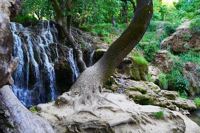 Private Day Tour From Fez To The Middle Atlas Tour Details