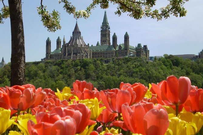 Private Day Tour Ottawa Tulip Festival May 10 20 From Montreal Tour Overview