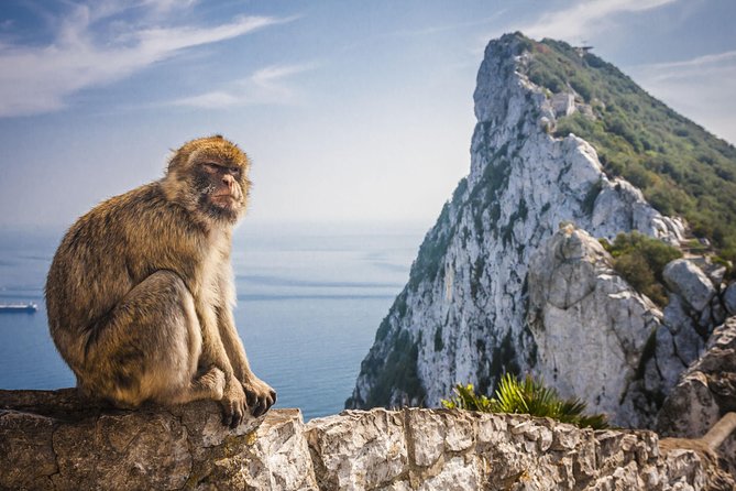 *Private Day Trip* Gibraltar and Vejer From Cádiz - Tour Overview