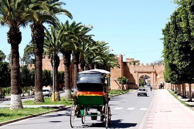 Private Day Trip Of Taroudant & Tiout From Agadir Overview Of The Private Day Trip