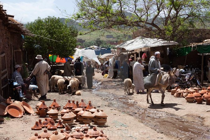 Private Day Trip to Ourika Valley and Atlas Mountains - Tour Overview