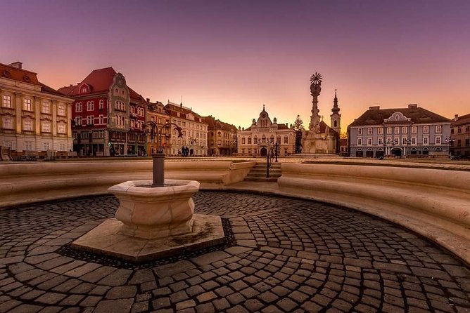 Private Day Trip to Timisoara From Belgrade - Pickup and Transport Details