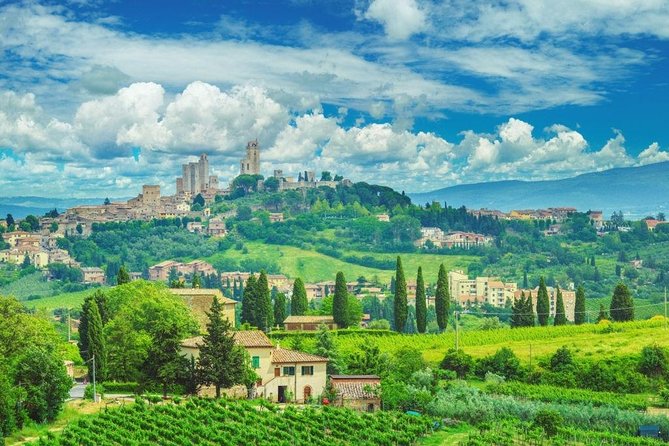 Private Day Trip Tuscany Landscape and Wine Tasting From Florence - Private Transport to Tuscany