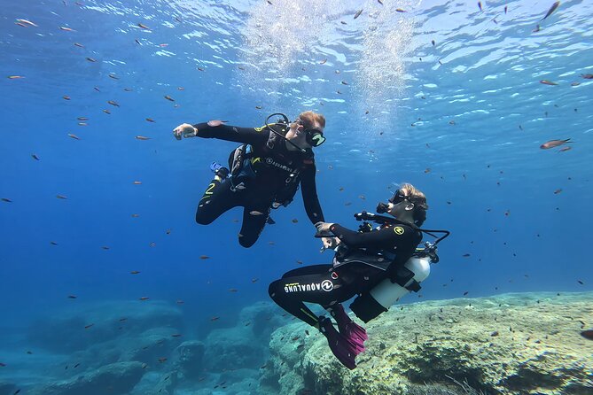 Private Discover Scuba Diving Experience In Messinia Experience Overview