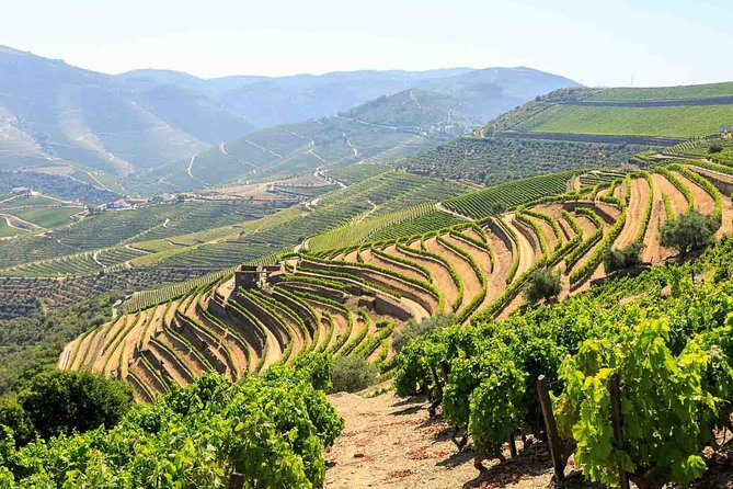 Private Douro Valley Tour Including 3 Wineries - Tour Overview