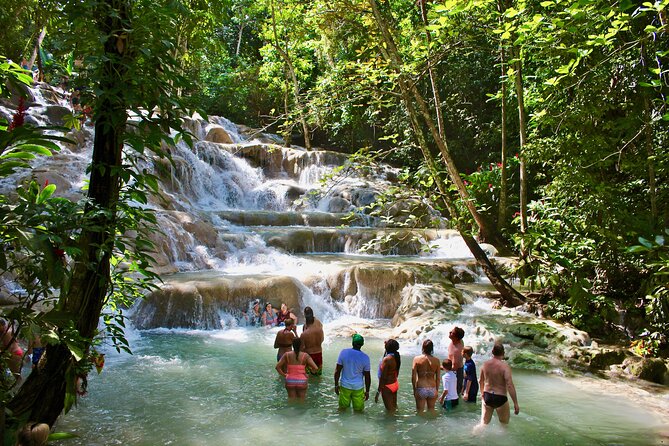 Private Dunns River Falls Adventure From Montego Bay Tour Overview