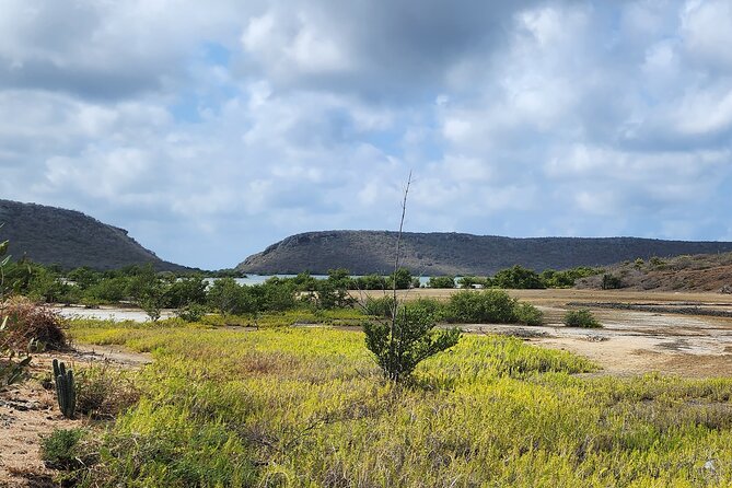 Private E Bike Adventure Through Tropical Nature Of Curacao Participant Requirements