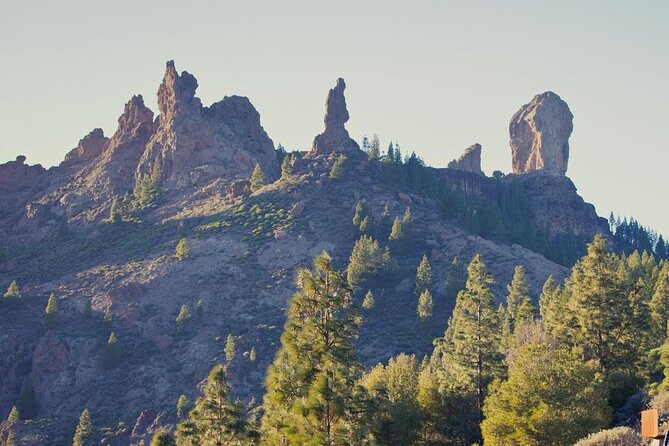 Private Excursion the Mountains of Gran Canaria for 2 to 4 People - Tour Inclusions