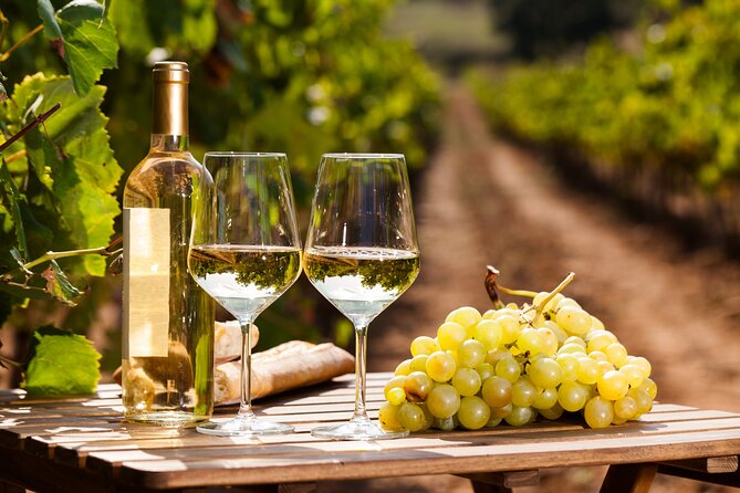 Private Frascati Day Trip With Lunch & Wine Tasting in a Vineyard