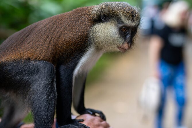 Private Full Day Tour In Grenada With Pickup Tour Overview And Features