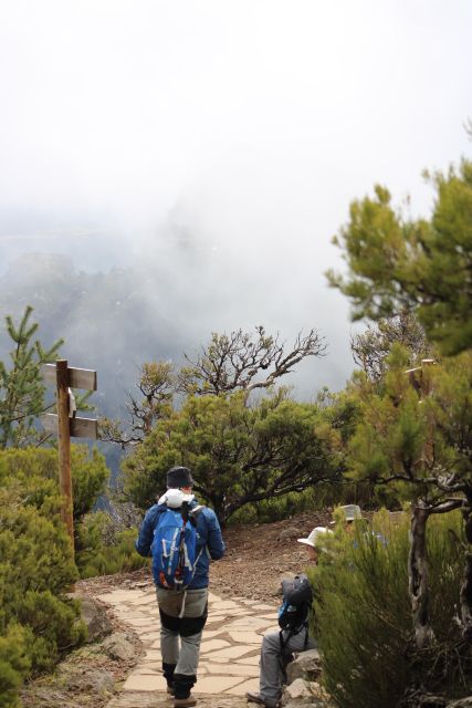 Private Gastro Hike With Levada Walk And Local Food Tour Overview