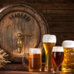 Private German Beer Tasting Tour In Hamburg Old Town Tour Details