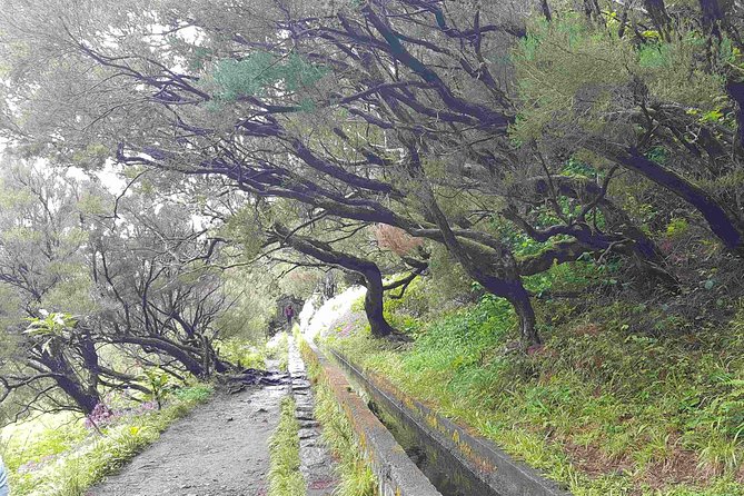 Private Guided Walk Levada 25 Fountains Highlights Of The Experience