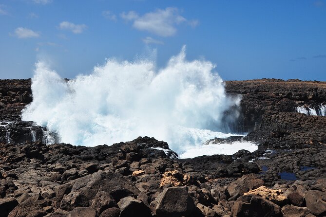 Private Half Day Island Tour With Shark Watching Experience From Santa Maria Tour Overview