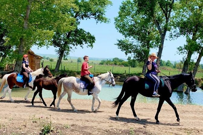 Private Horse Ridding Tour Overview Of The Tour