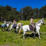 Private Horse Ride In Madrid Natural Park Reserve Overview Of The Tour