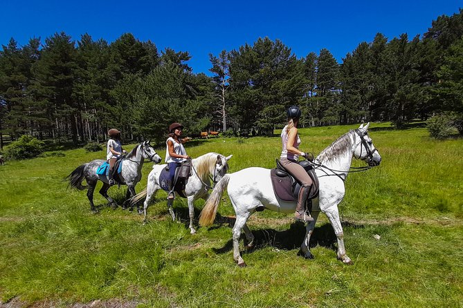 Private Horse Ride in Madrid Natural Park Reserve - Overview of the Tour