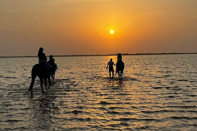 Private Horse Riding Experience At Red Sea Overview Of The Experience