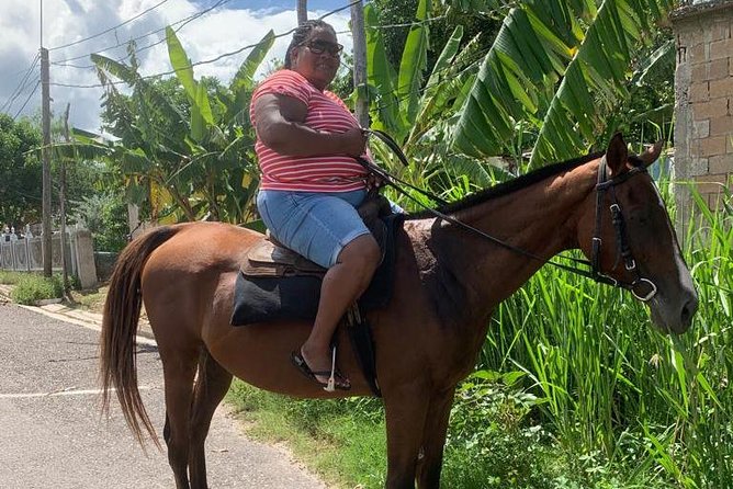 Private Horseback Riding From Ocho Rios With Guide - Tour Inclusions