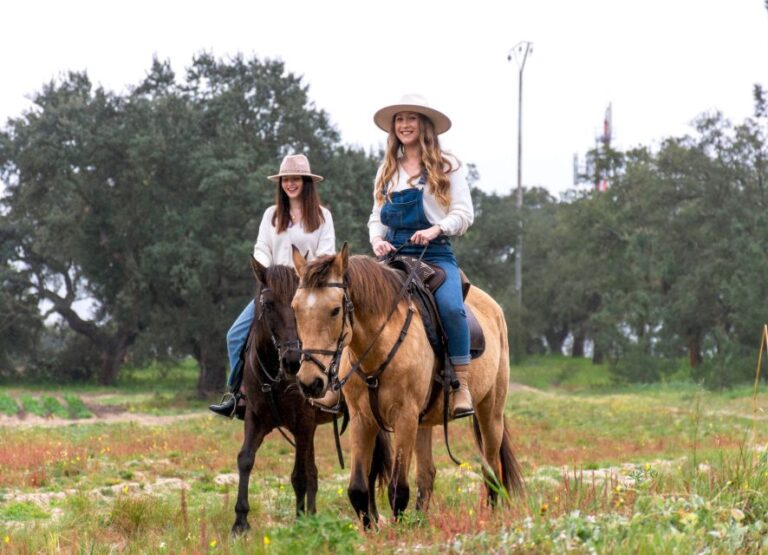 Private Horseback Riding On The Beach Tour Overview