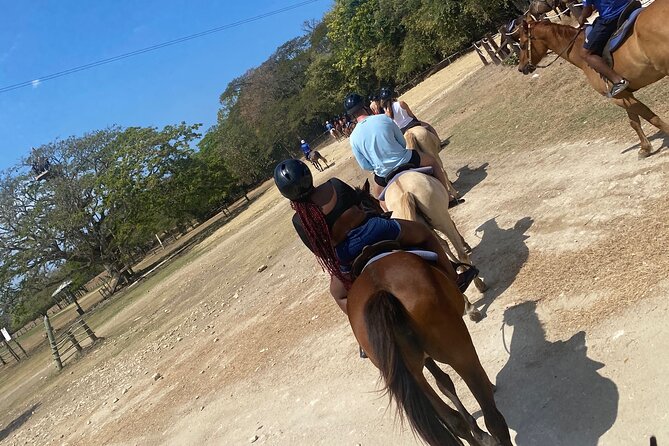 Private Horseback Riding With Blue Hole River Tour in Montego Bay - Tour Overview