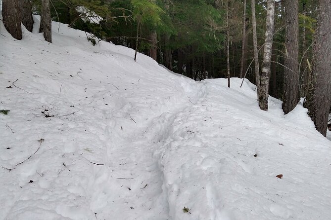 Private Horseshoe Valley Snowshoe/crampons (barrie/moonstone) Overview Of The Activity