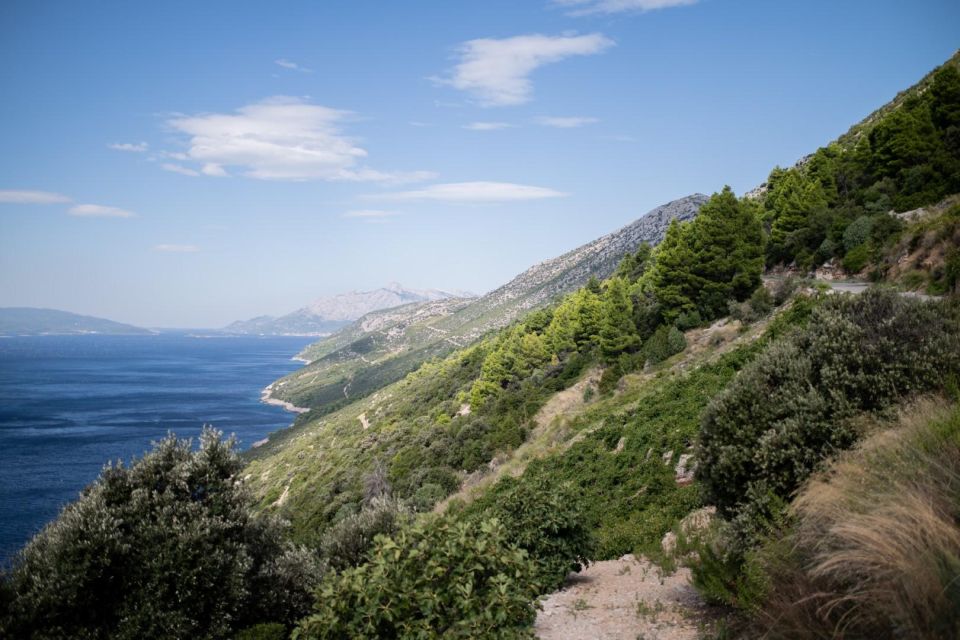 Private Korčula & Pelješac Vineyards Tour - From Dubrovnik - Tour Overview