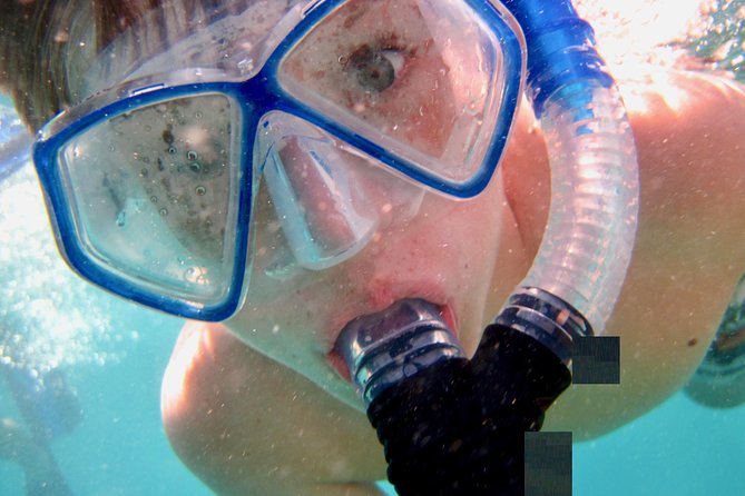 Private Looe Key Snorkel From Big Pine Key - Overview and Experience