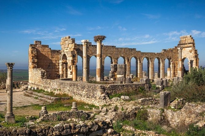 Private Meknes Volubilis Mouly Idriss Day Trip From Fez Tour Overview