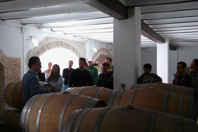 Private Morning Wine And Winery Tour And Tasting From Valencia Wine Culture Immersion