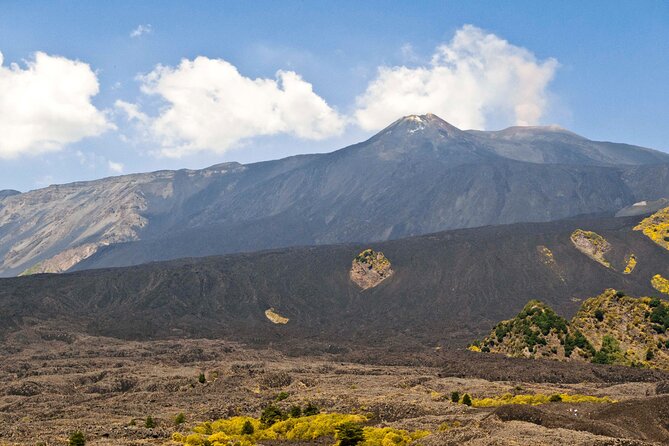 Private Mt. Etna 4wd Half Day Adventure Inclusions