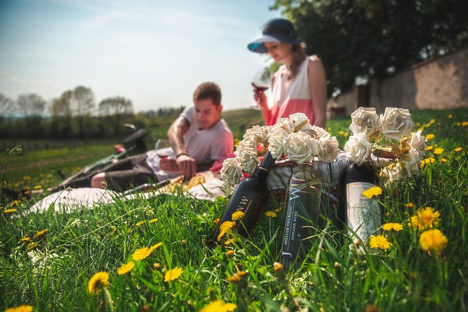 Private PICNIC in Bohemian Vineyards and Wine Tasting 4WD Tour - Tour Overview