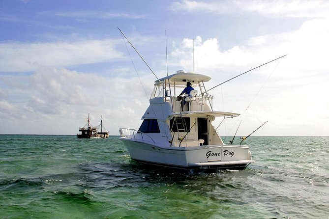 Private Punta Cana Six Hour Fishing Charter Includes In The Charter