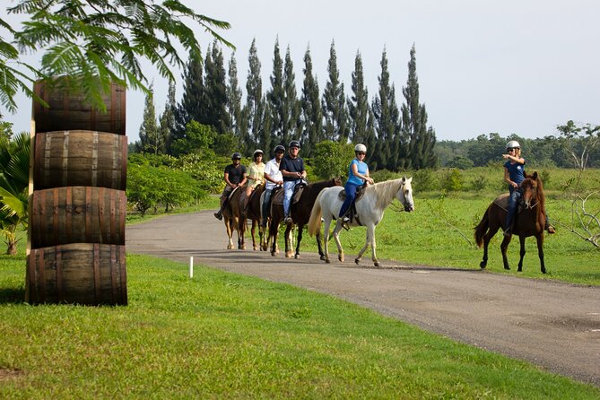 Private Ranch Horseback Tour in Carolina, Puerto Rico - Meeting and End Point