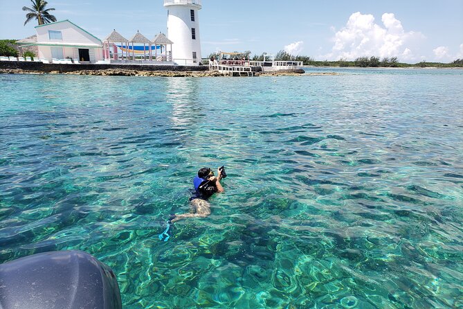 Private Rose Island Tour Snorkeling Fishing Swimming With Pigs Tour Overview