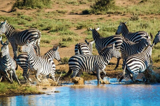 Private Safari Day Tour In Amboseli National Park Tour Details