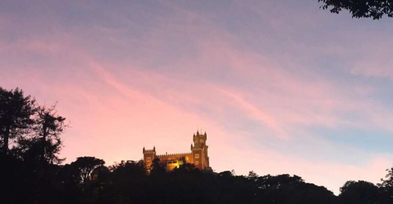 Private Sintra Night Walk: Dreams In The Woods Activity Overview