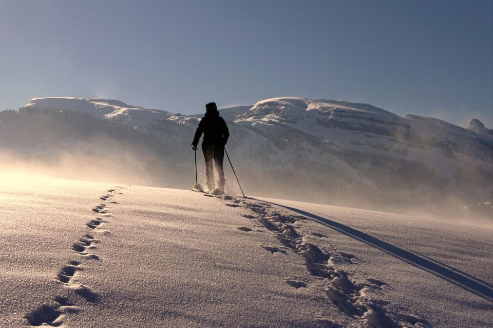 Private Snowshoeing Full Day - Activity Details