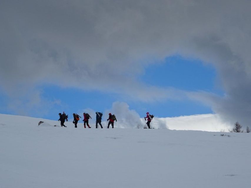 Private Snowshoeing Night Trip and Dinner in a Refuge - Activity Details