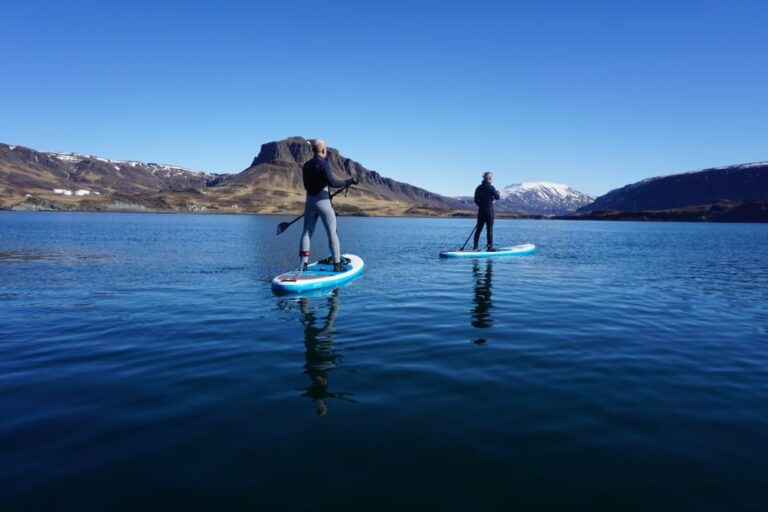 Private Stand Up Paddle Into The Forgotten Fjord Overview Of The Activity