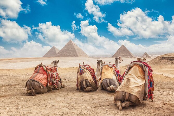 Private Tour: Cairo Day Trip From Hurghada, Including Round Trip Flights, Giza Pyramids, Sphinx, And Egyptian Museum Overview And Inclusions