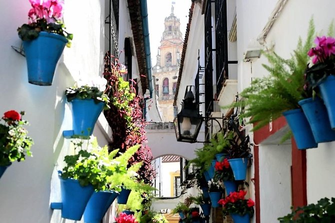 Private Tour: Cordoba Day Trip From Granada Tour Overview